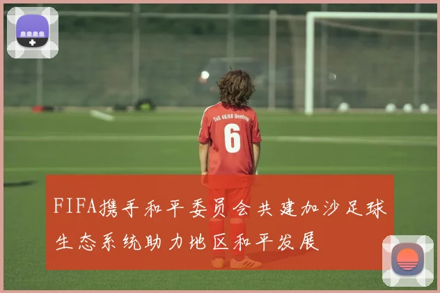 FIFA携手和平委员会共建加沙足球生态系统助力地区和平发展