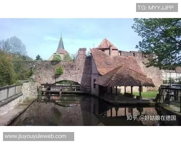 凯恩分享德语学习经历孩子们的进步令他感到惊讶